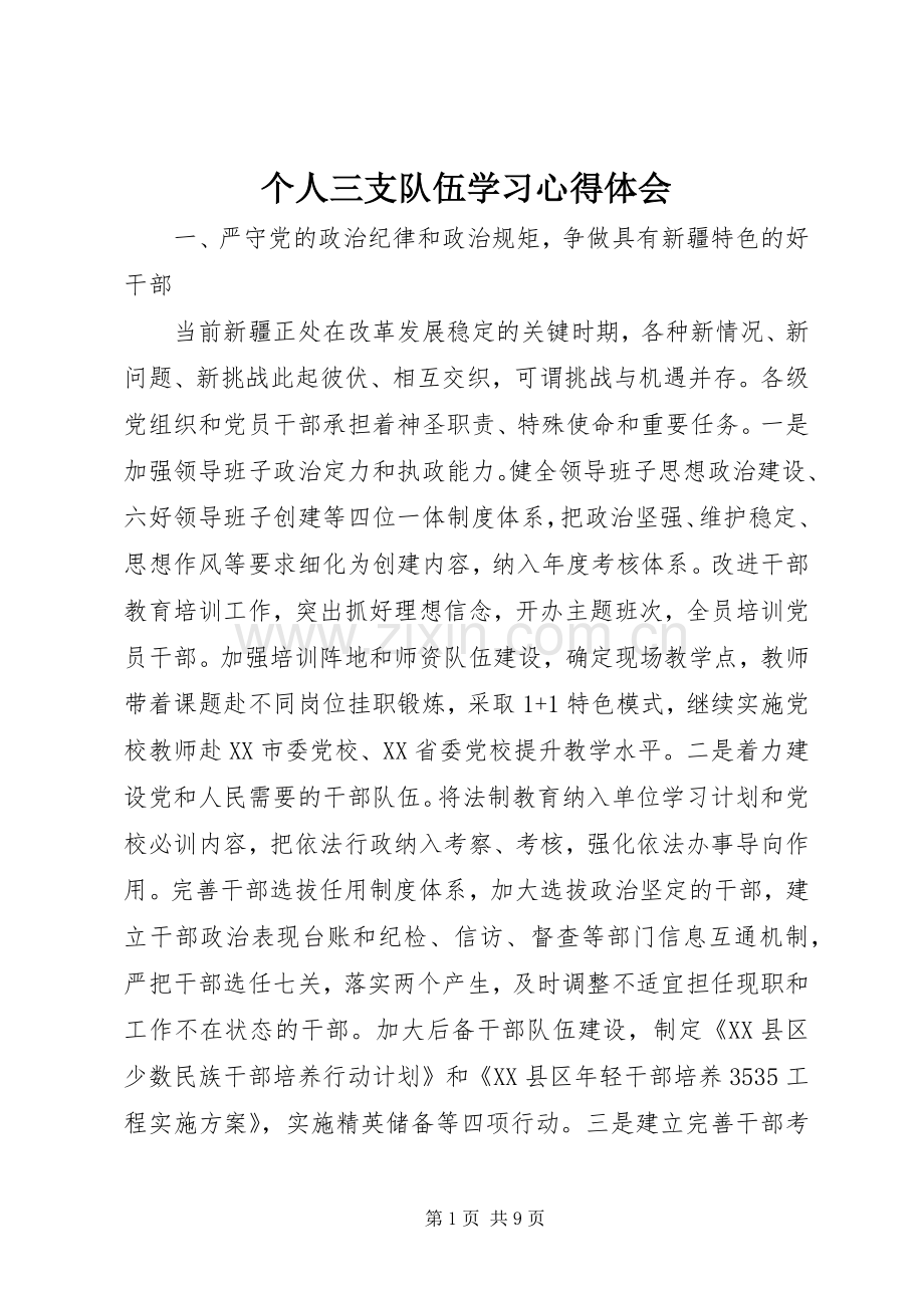 个人三支队伍学习心得体会.docx_第1页