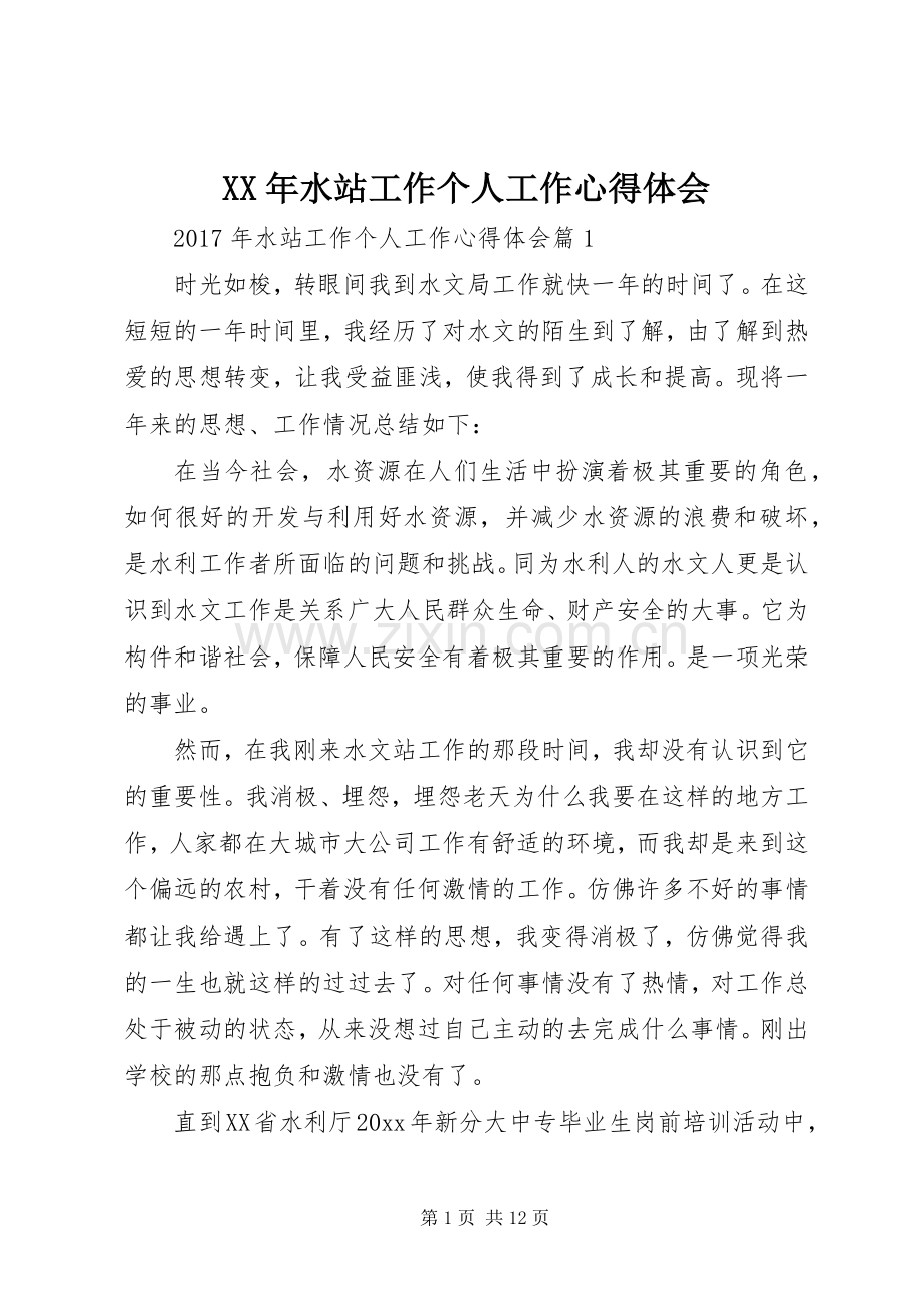 XX年水站工作个人工作心得体会.docx_第1页