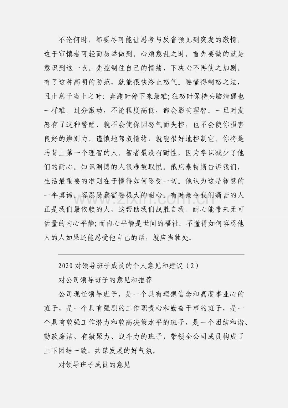 2020对领导班子成员的个人意见和建议优秀范文两篇.docx_第2页