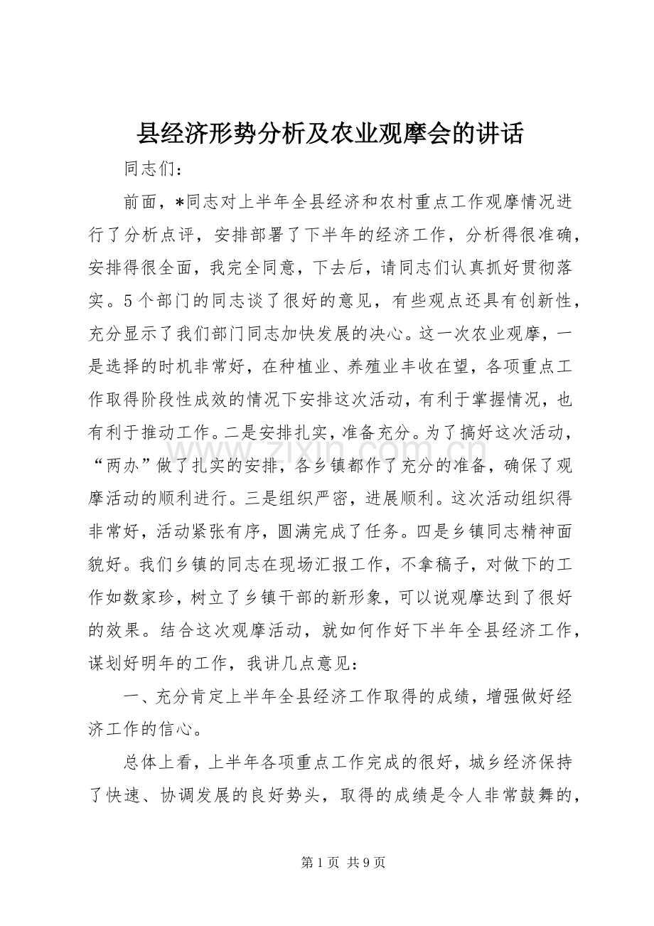 县经济形势分析及农业观摩会的讲话.docx_第1页