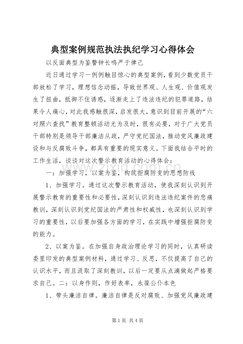 典型案例规范执法执纪学习心得体会.docx_第1页