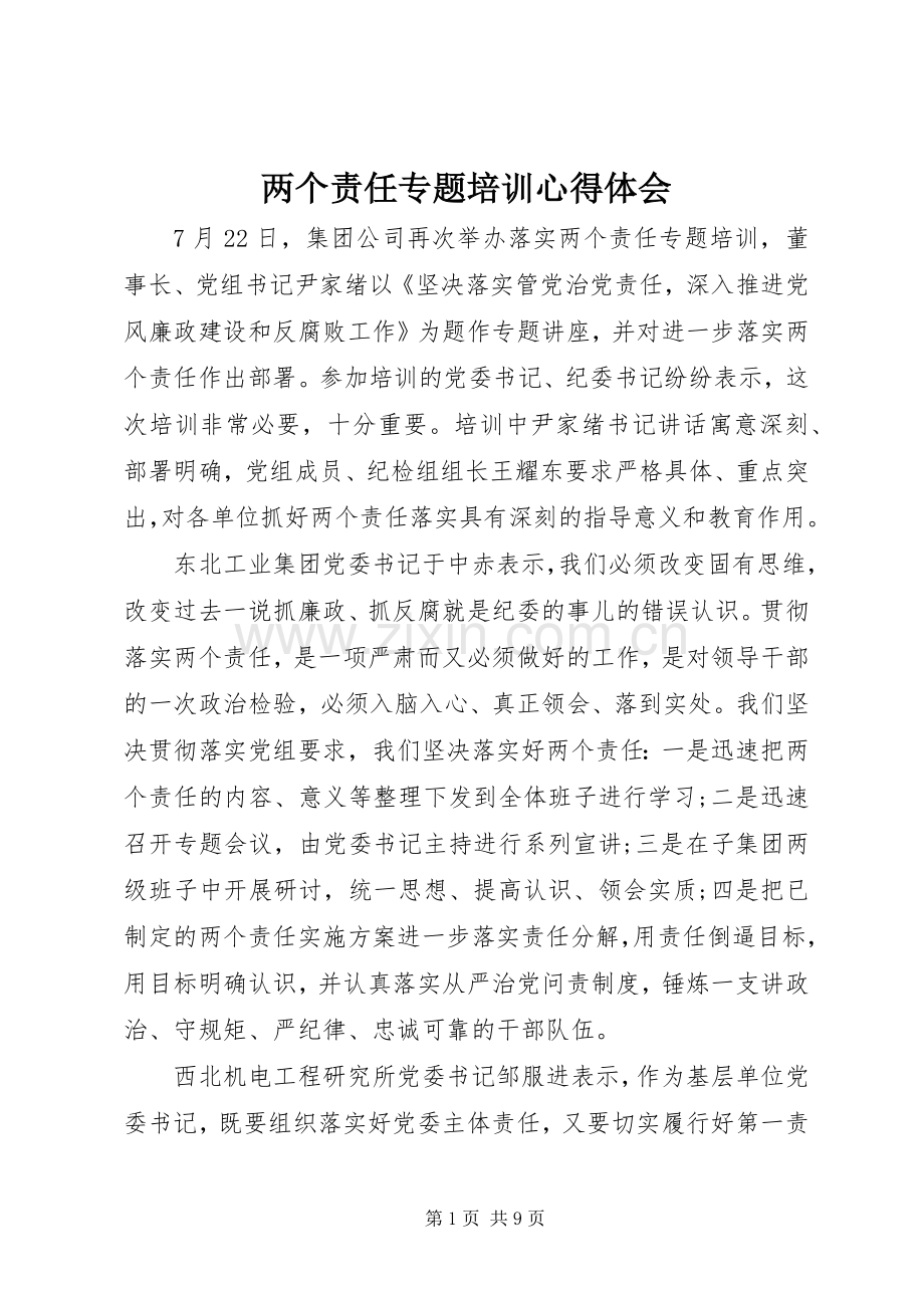 两个责任专题培训心得体会.docx_第1页