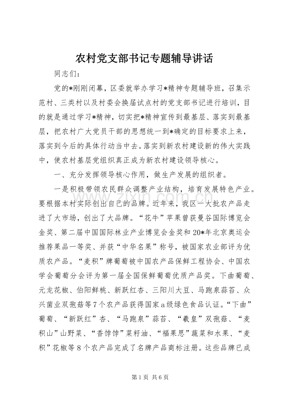 农村党支部书记专题辅导讲话.docx_第1页