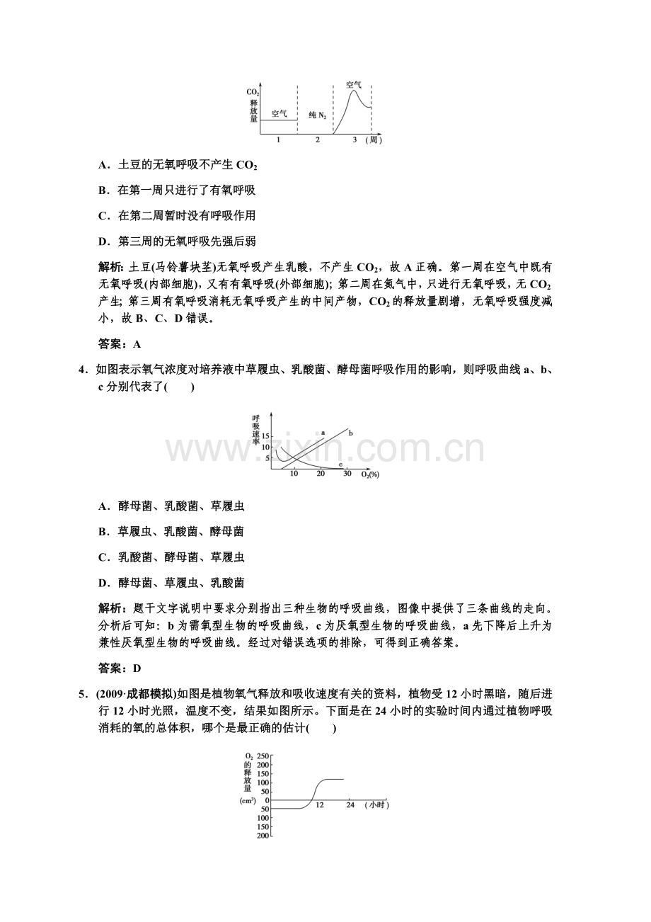 复习：光合作用与呼吸作用专题突破.doc_第2页