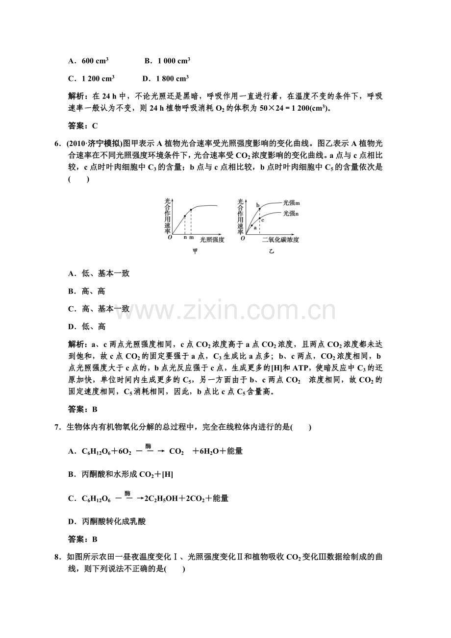 复习：光合作用与呼吸作用专题突破.doc_第3页