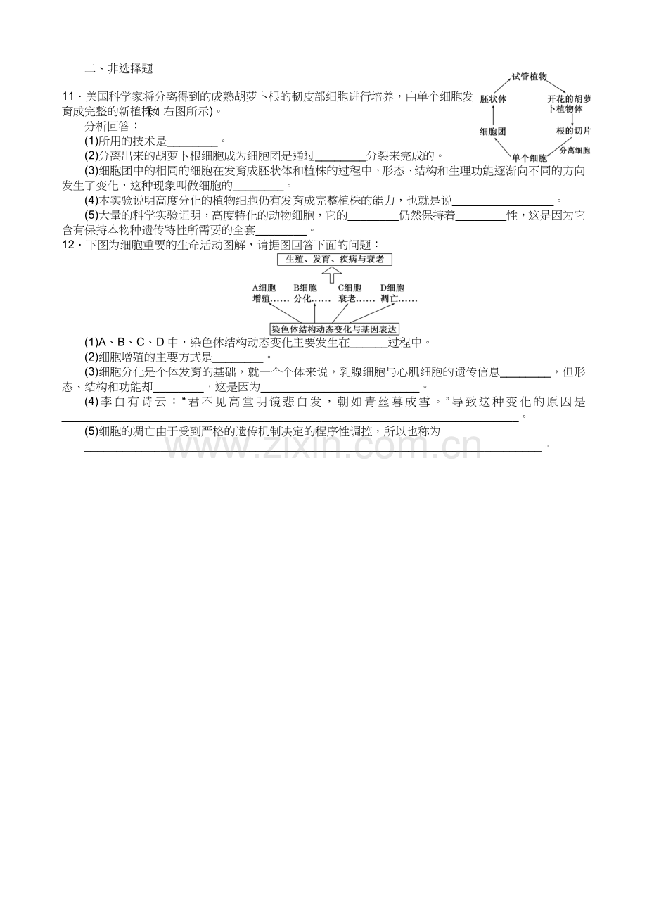 第6章-第2、3、4节---细胞的分化、衰老和凋亡及癌变附答案.doc_第2页