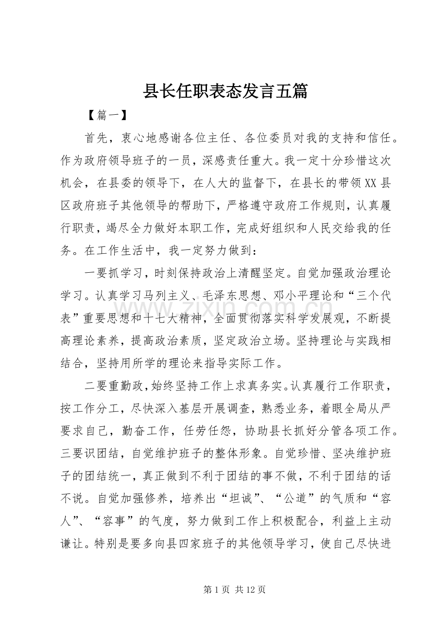 县长任职表态发言五篇.docx_第1页