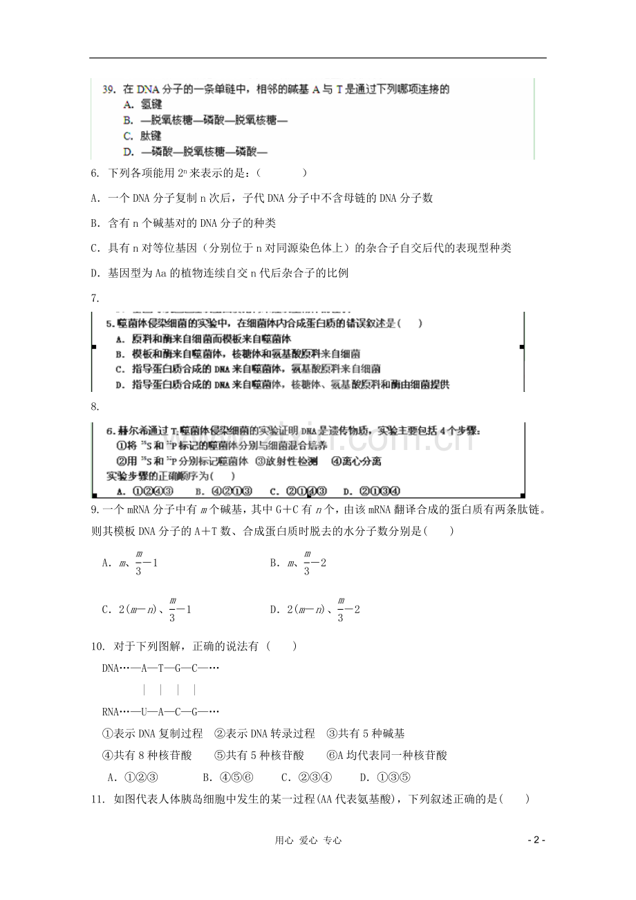 山东省高三生物《遗传与变异的分子基础》单元测试14-中图版必修2.doc_第2页