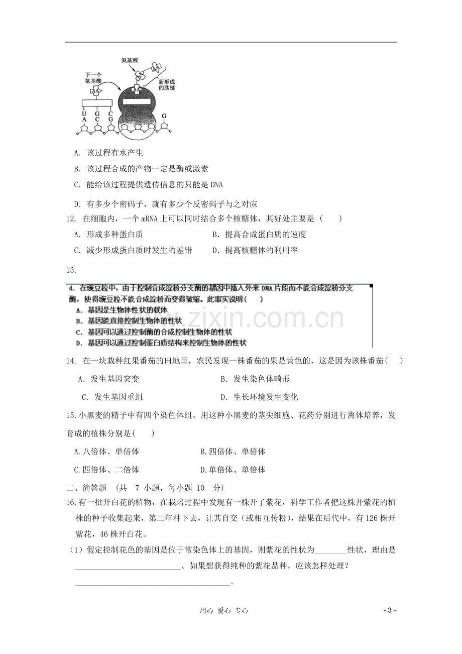 山东省高三生物《遗传与变异的分子基础》单元测试14-中图版必修2.doc_第3页