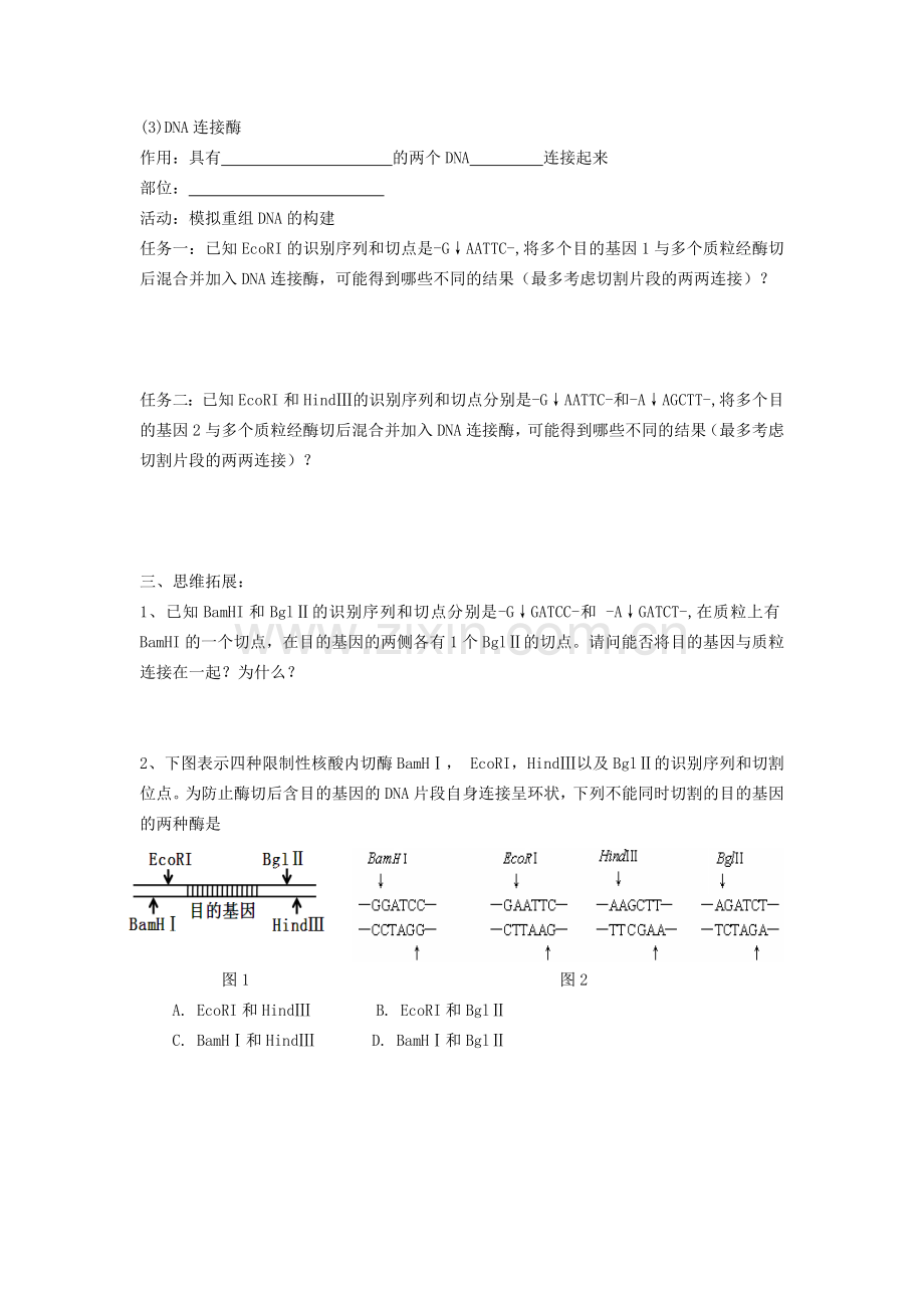 第一节工具酶的发现和基因工程的诞生.docx_第2页