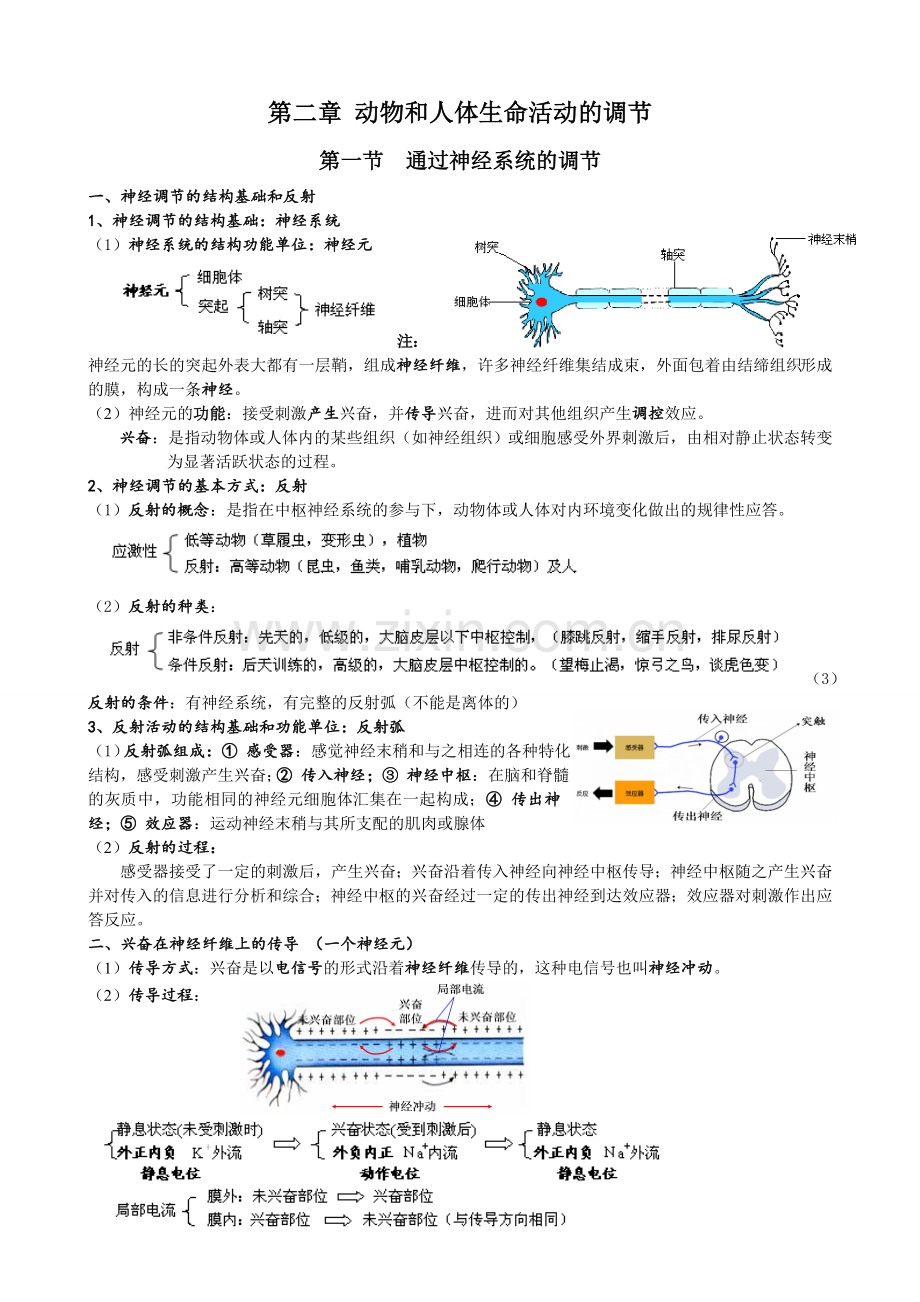 必修3第二章--动物和人体生命活动的调节(知识点).doc_第1页