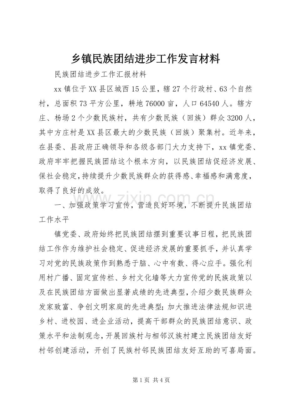 乡镇民族团结进步工作发言材料.docx_第1页