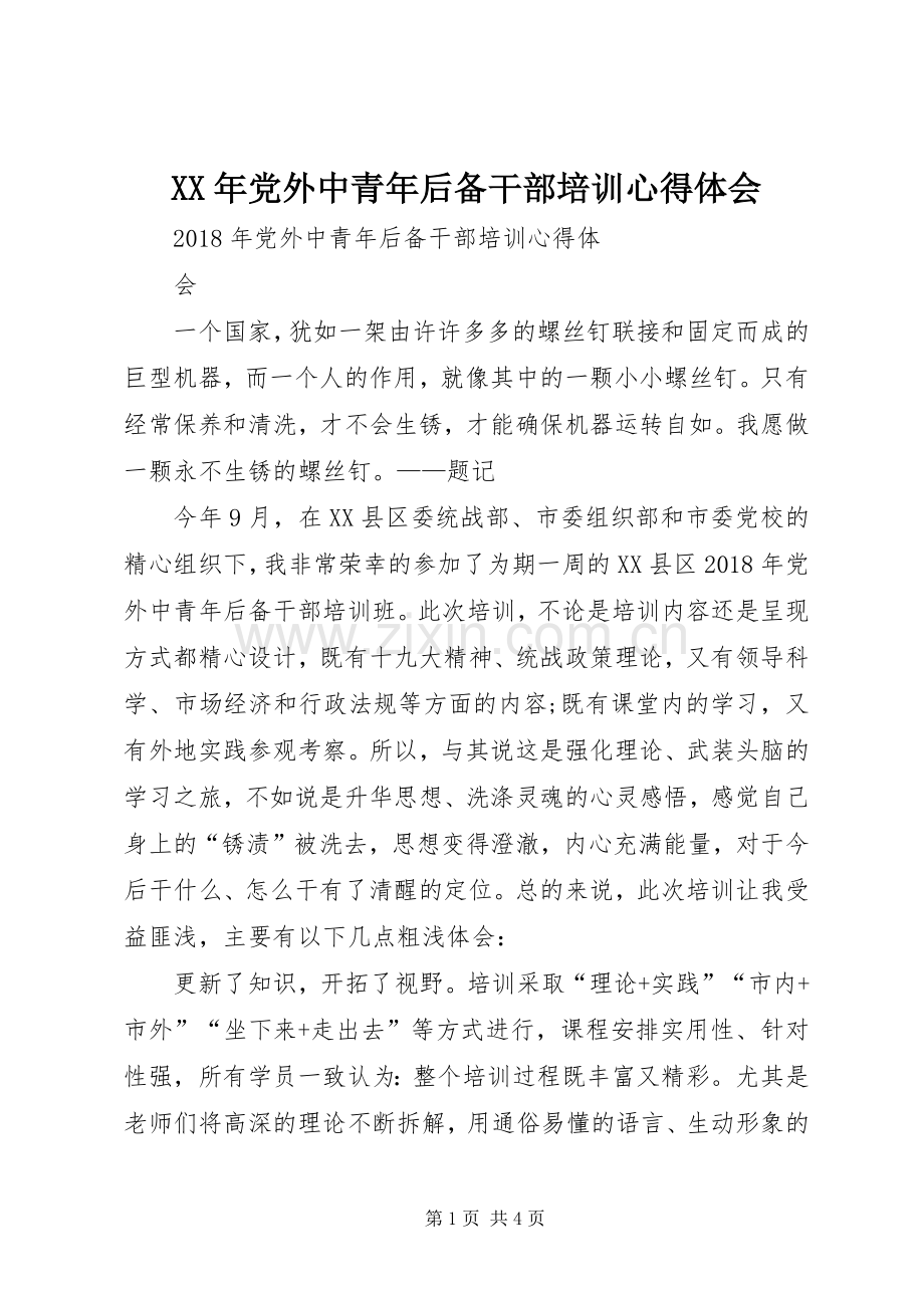 XX年党外中青年后备干部培训心得体会.docx_第1页