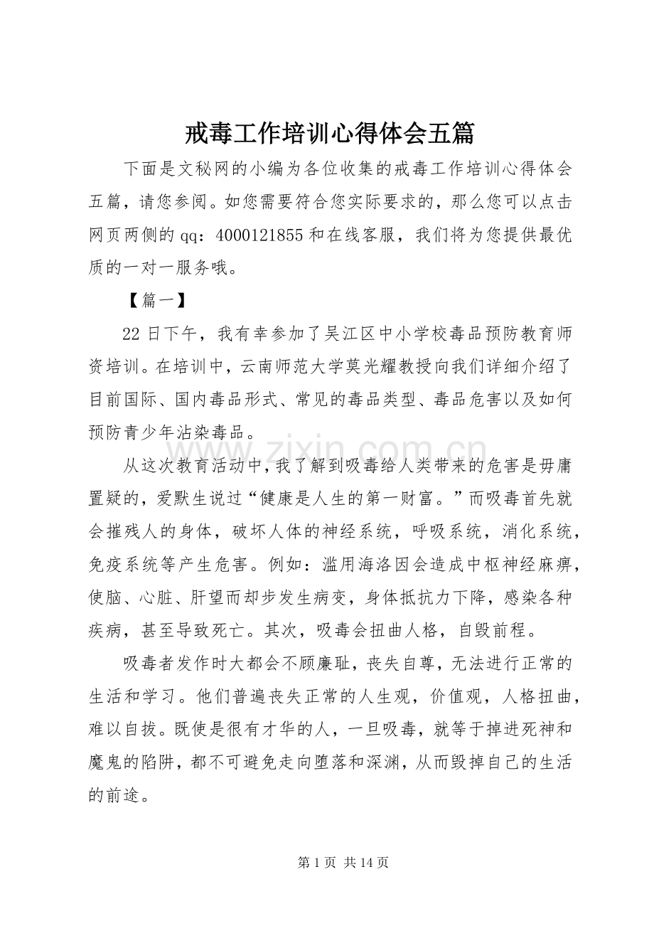 戒毒工作培训心得体会五篇.docx_第1页