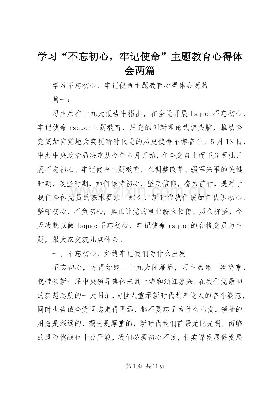 学习“不忘初心牢记使命”主题教育心得体会两篇.docx_第1页