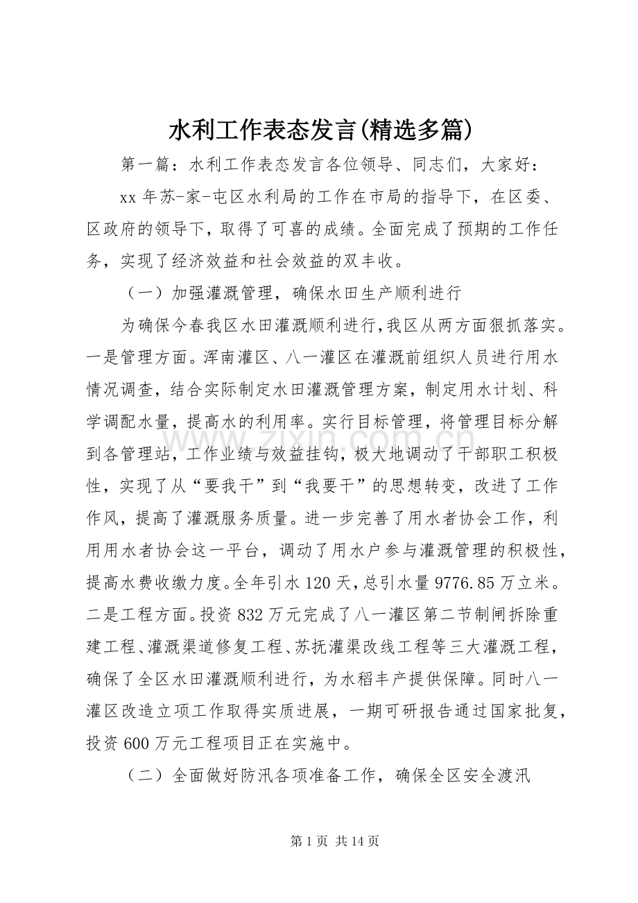 水利工作表态发言(多篇).docx_第1页