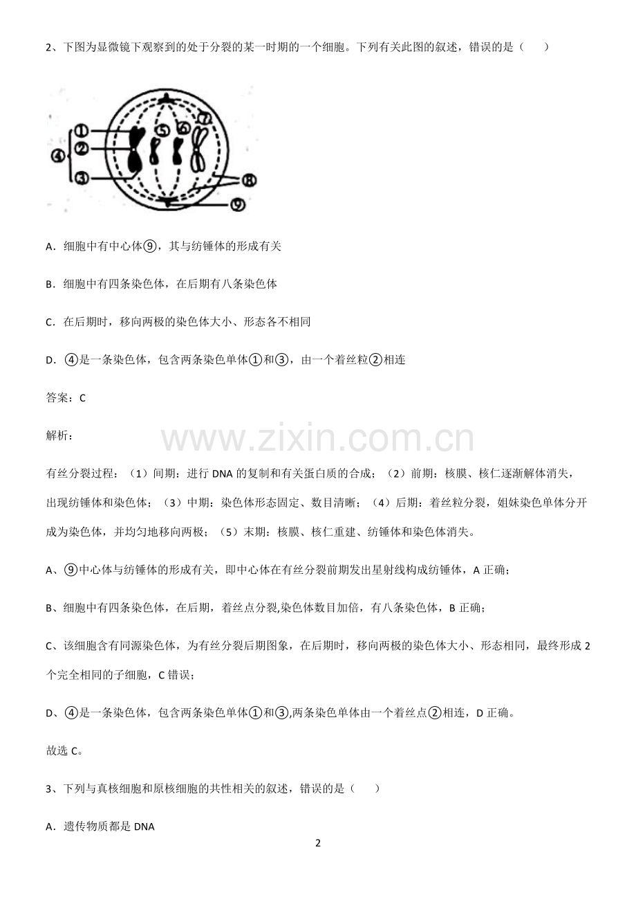 通用版高中生物必修一细胞的生命历程高频考点知识梳理.pdf_第2页