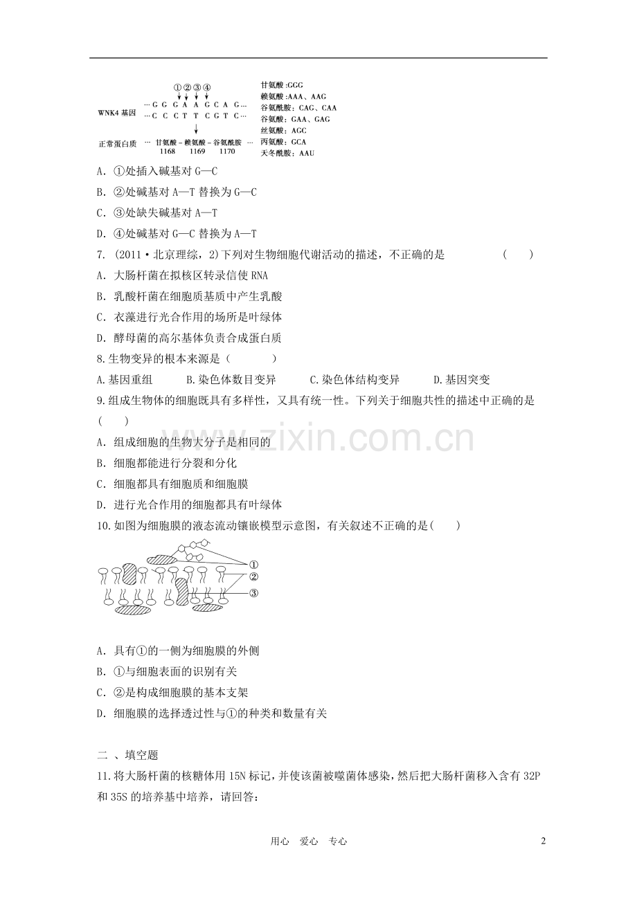 2012高三生物二轮复习-综合模拟试题5.doc_第2页