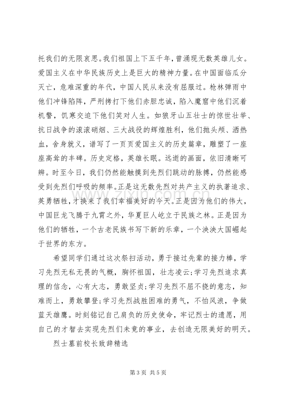 烈士墓前校长致辞.docx_第3页