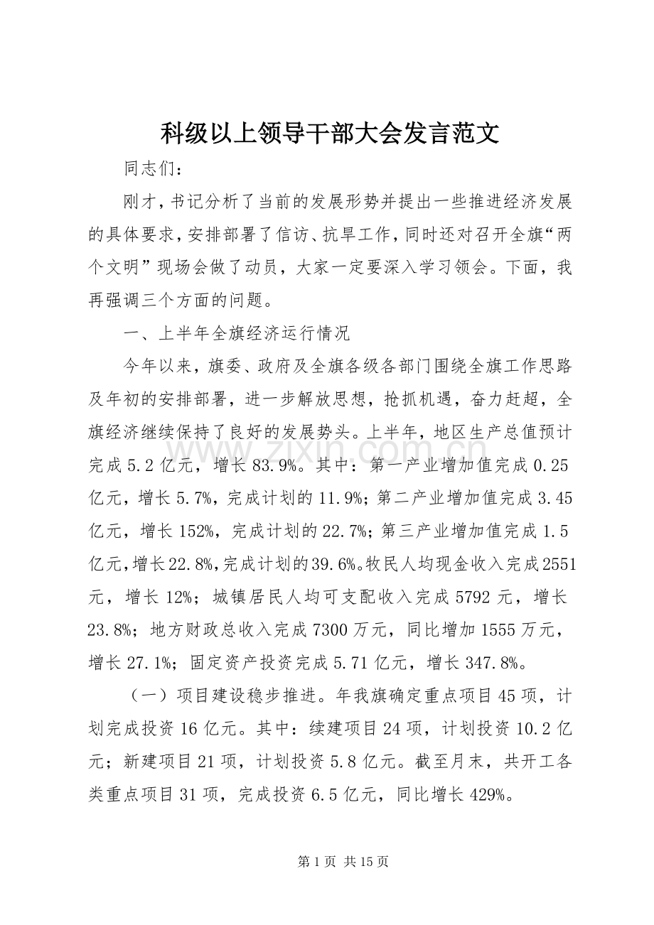 科级以上领导干部大会发言范文.docx_第1页