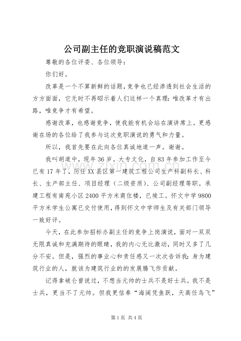 公司副主任的竞职演说稿范文.docx_第1页