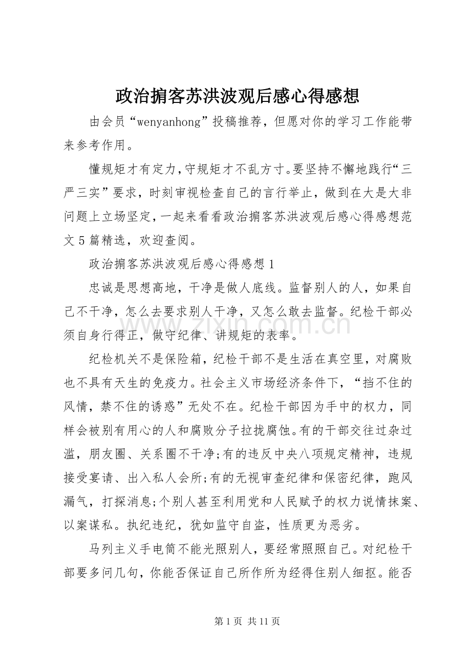 政治掮客苏洪波观后感心得感想.docx_第1页