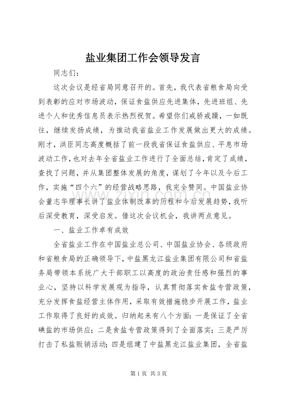 盐业集团工作会领导发言.docx_第1页