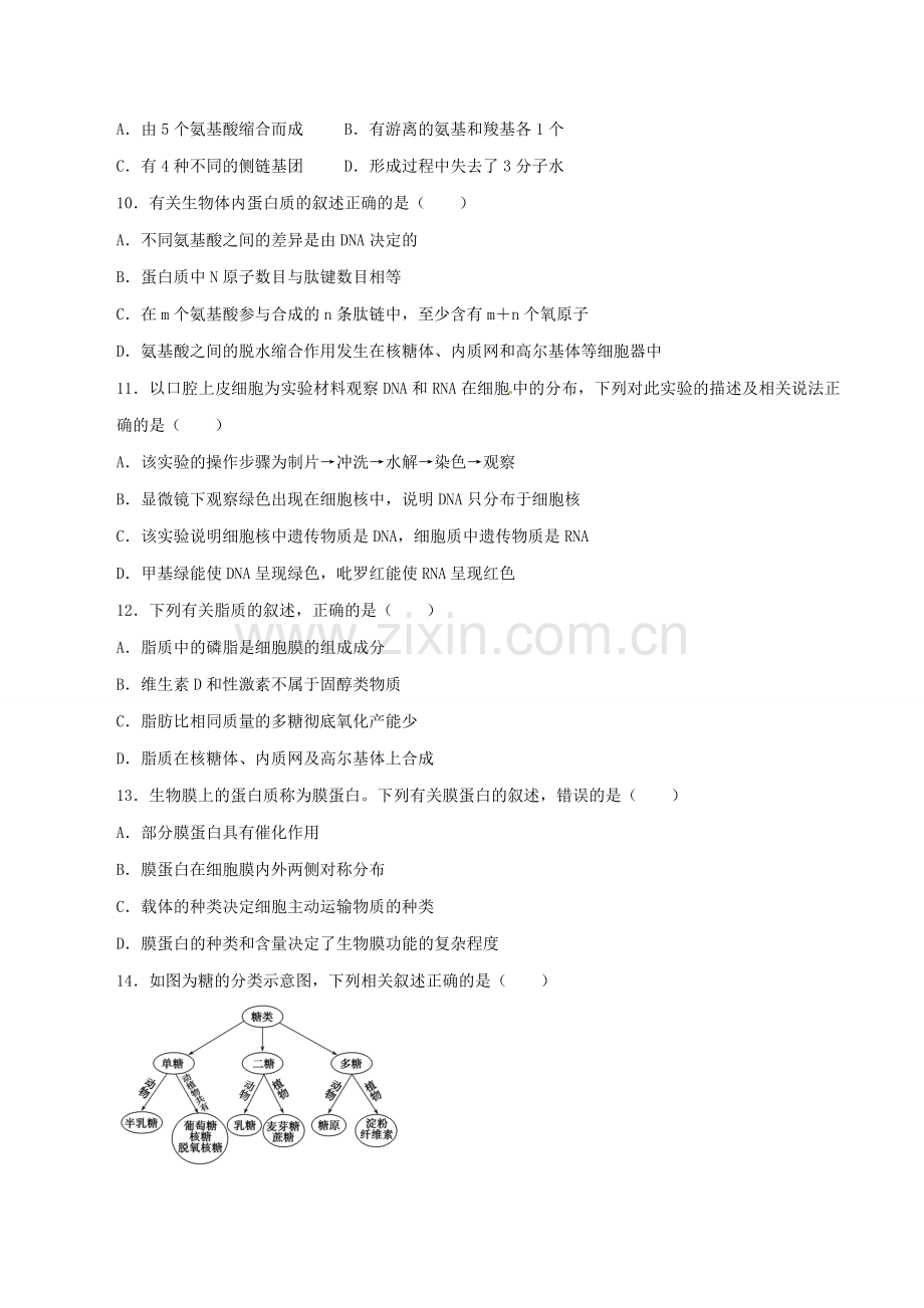 天津市南开中学2016届高三上学期第二次月考生物试题解析(原卷版).doc_第3页