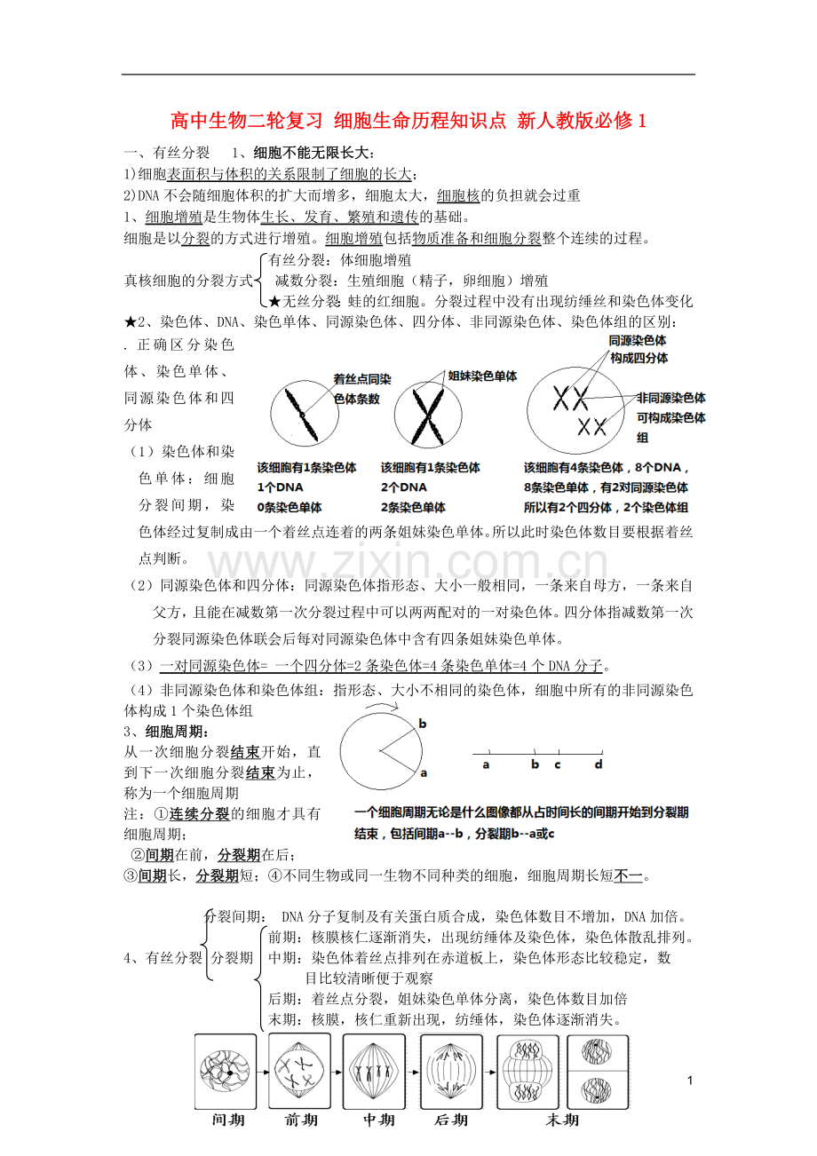 高中生物二轮复习-细胞生命历程知识点-新人教版必修1.doc_第1页