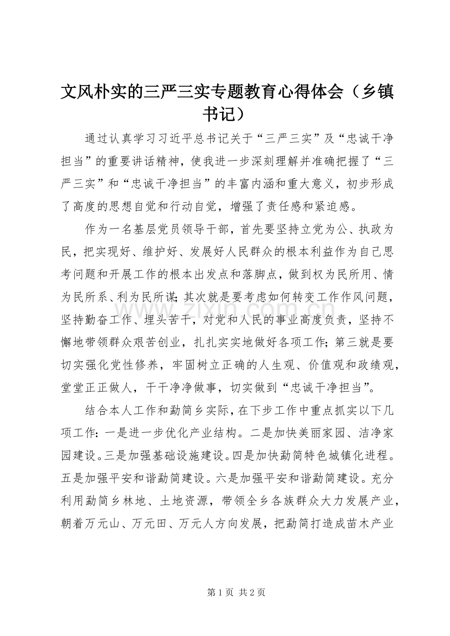 文风朴实的三严三实专题教育心得体会（乡镇书记）.docx_第1页