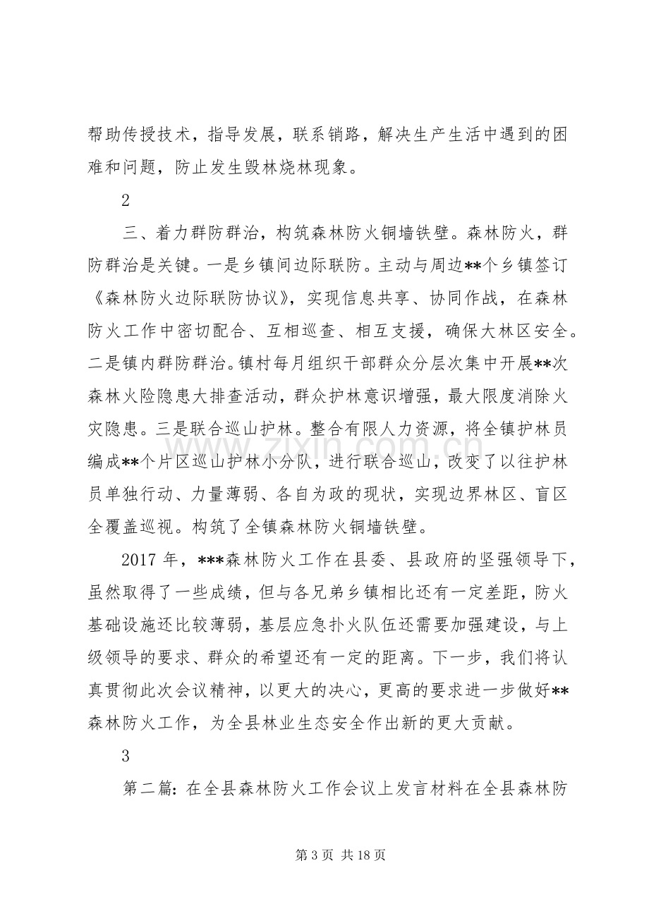 在全县森林防火工作会议上的发言(上传版).docx_第3页