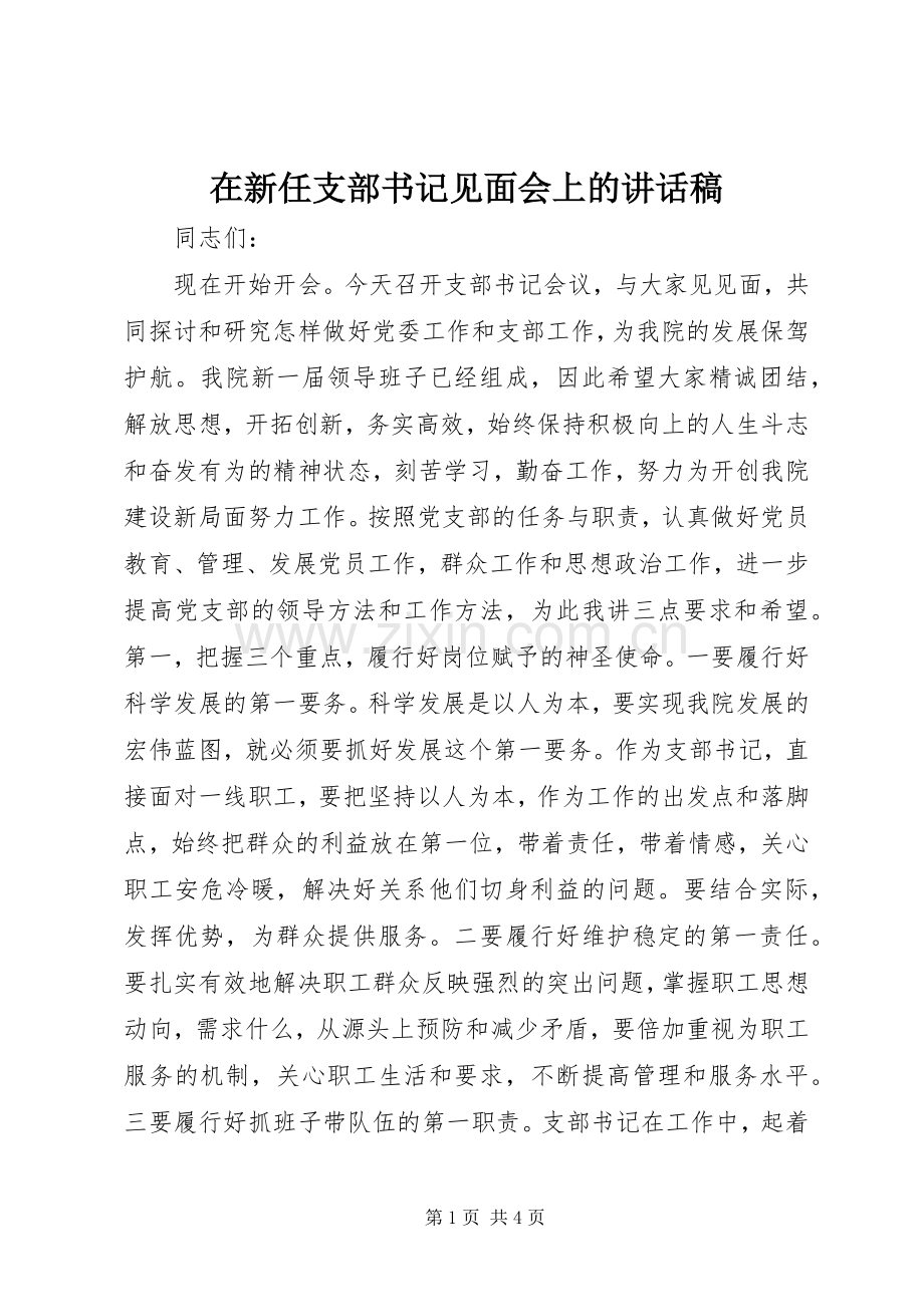 在新任支部书记见面会上的讲话稿.docx_第1页