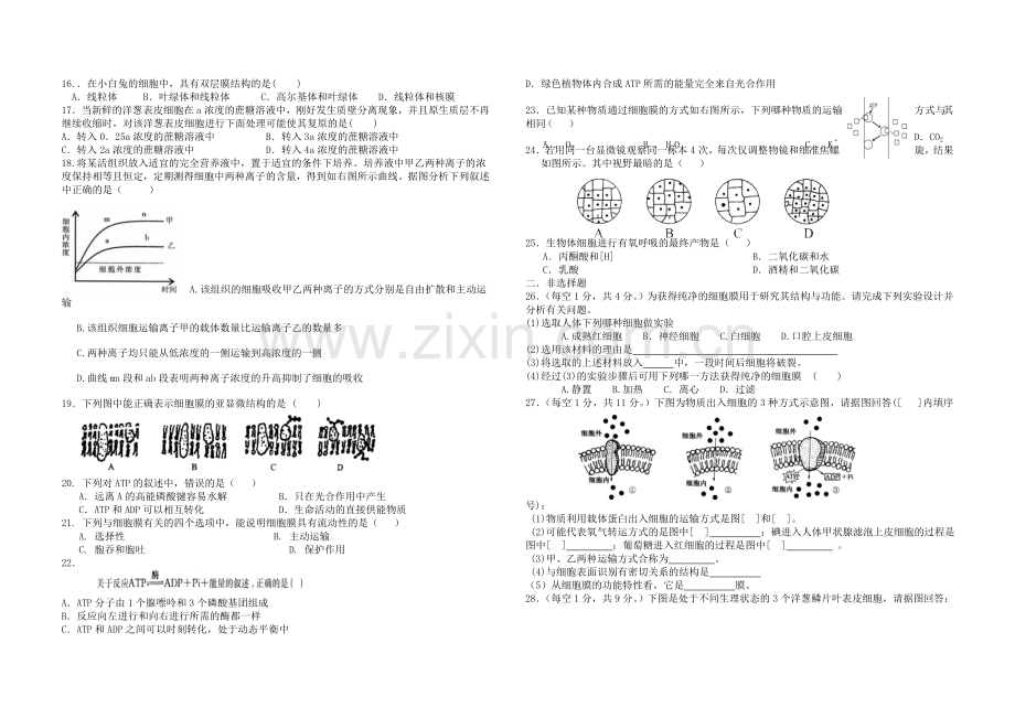 期中试卷MicrosoftWord文档.doc_第2页