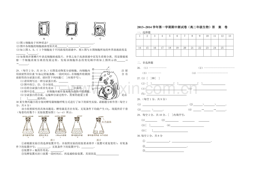 期中试卷MicrosoftWord文档.doc_第3页