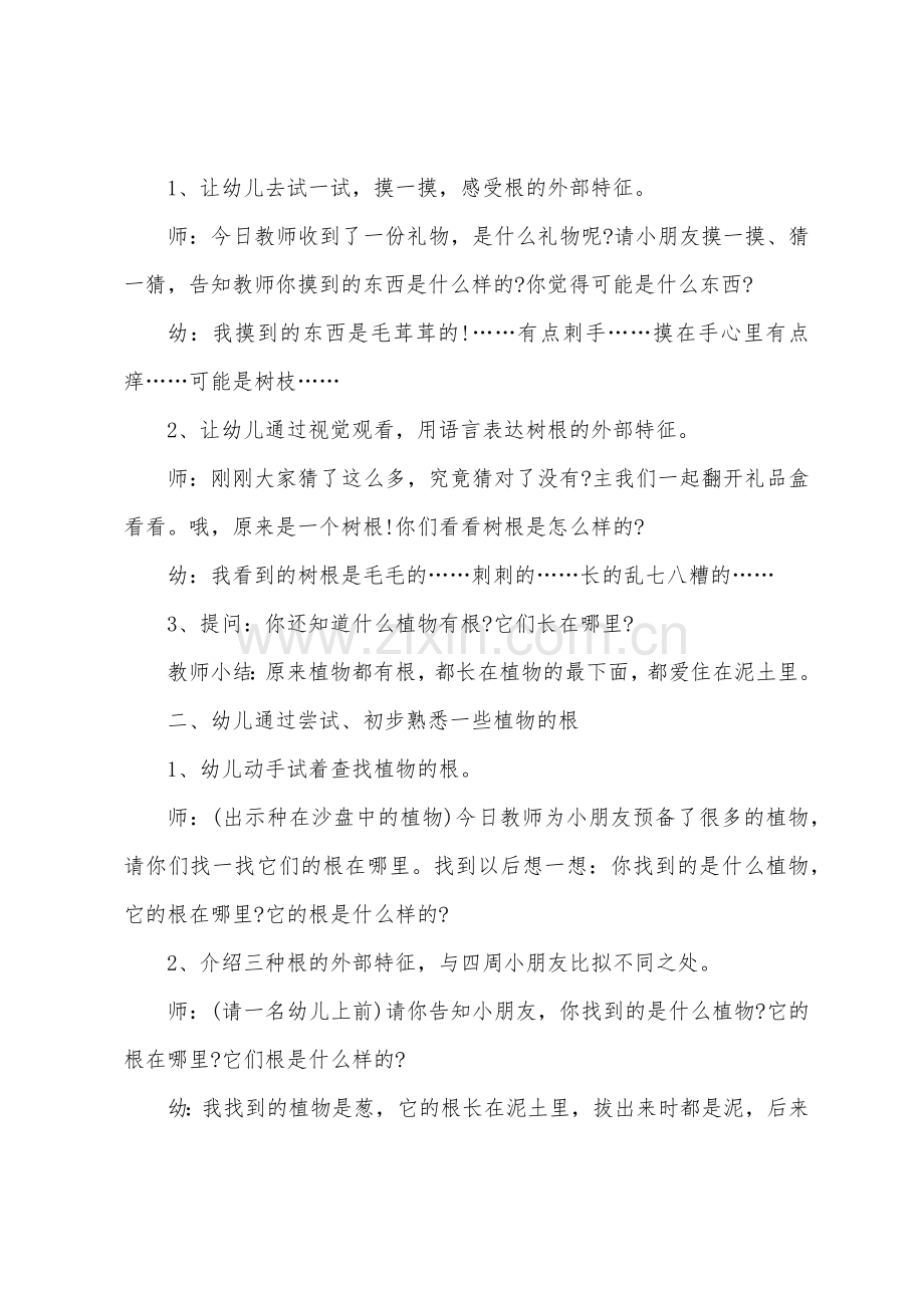 大班主题有趣的根教案反思.doc_第2页