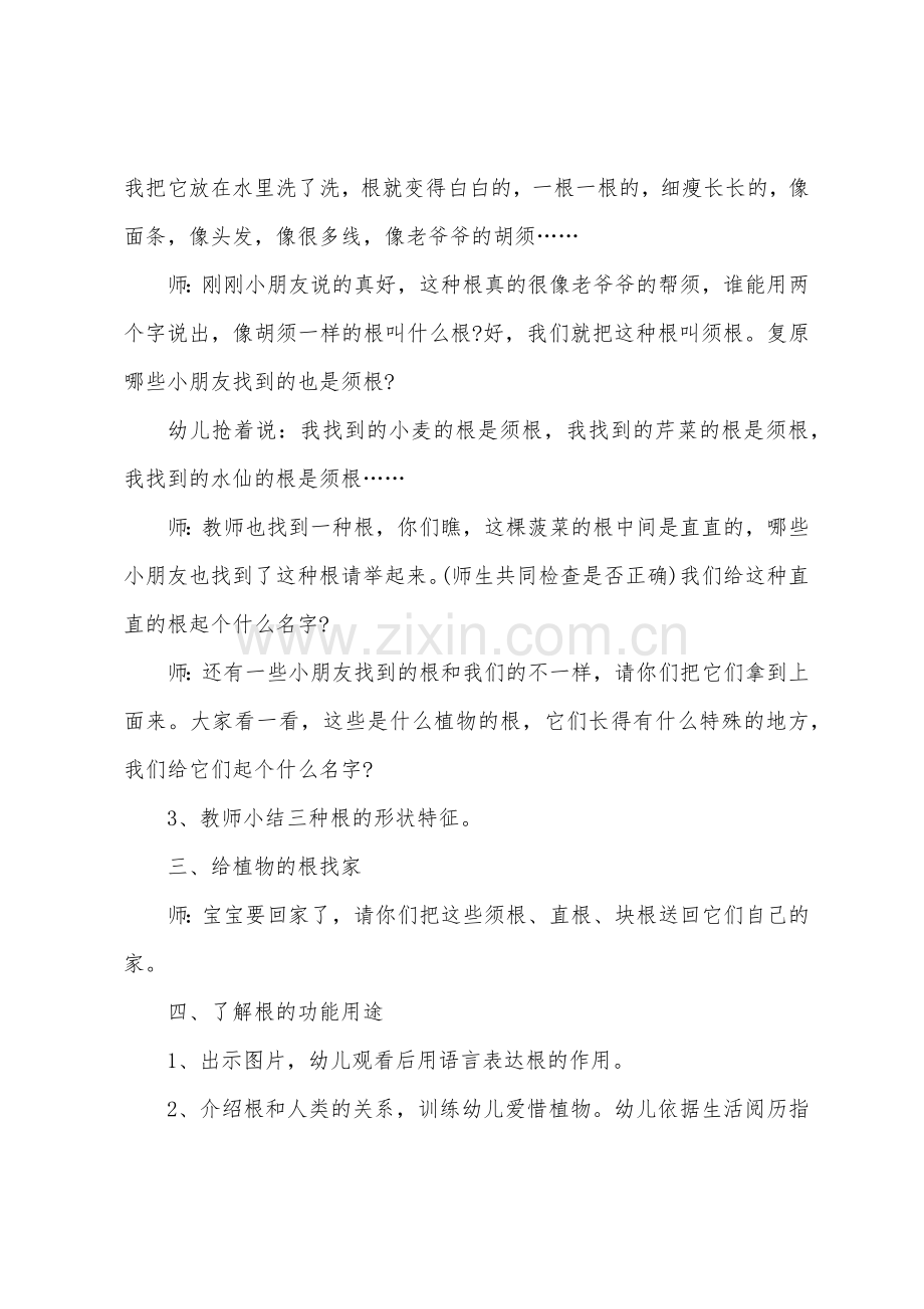 大班主题有趣的根教案反思.doc_第3页