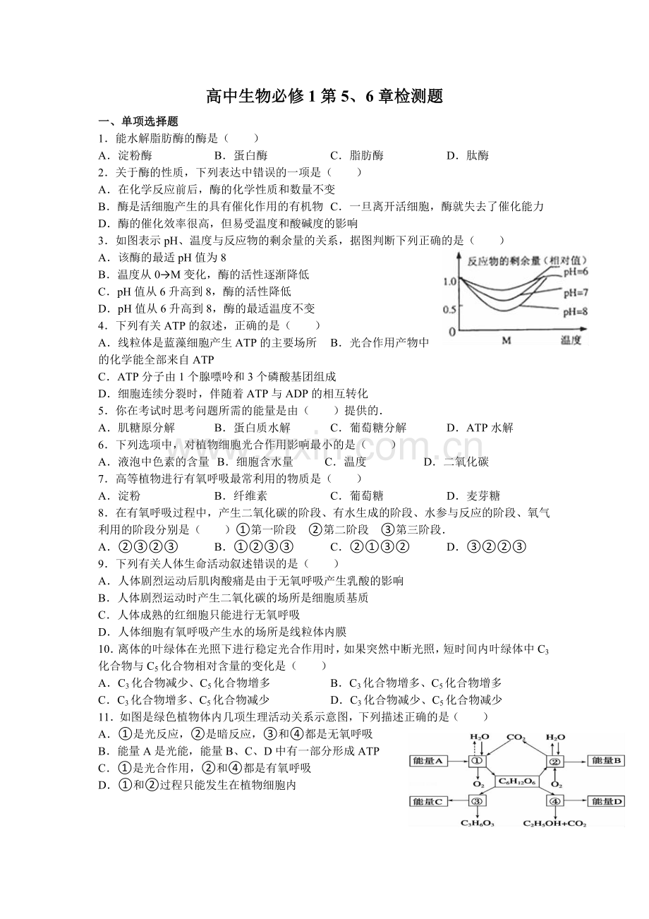 高中生物必修1第5、6章检测题.doc_第1页