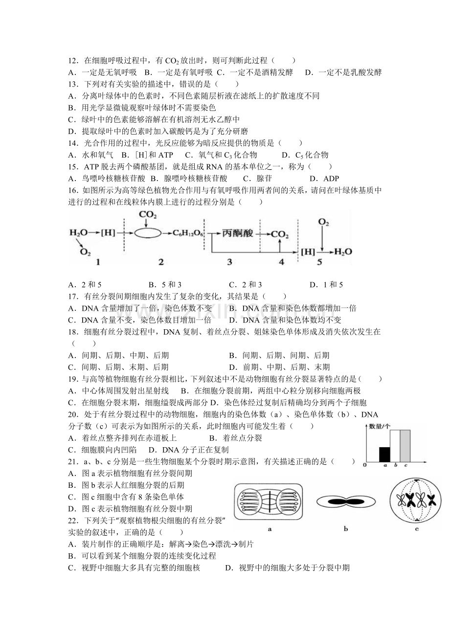 高中生物必修1第5、6章检测题.doc_第2页