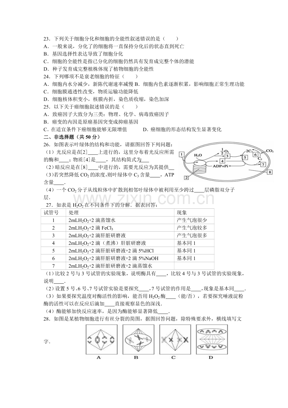 高中生物必修1第5、6章检测题.doc_第3页