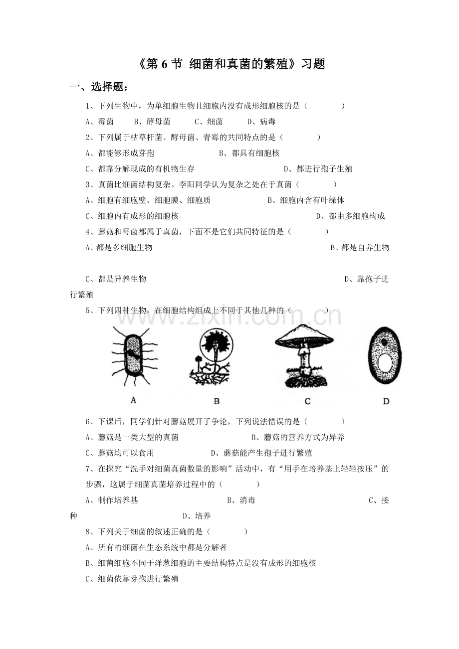 《第六节-细菌和真菌的繁殖》-习题.doc_第1页