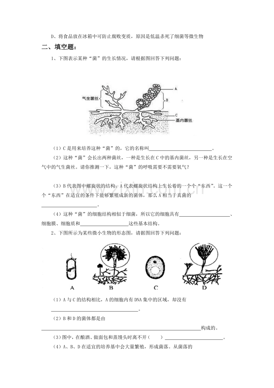 《第六节-细菌和真菌的繁殖》-习题.doc_第2页