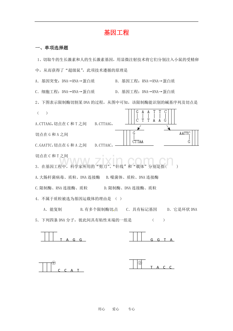 高中生物：-第1章-基因工程(同步测试题)苏教版选修3.doc_第1页