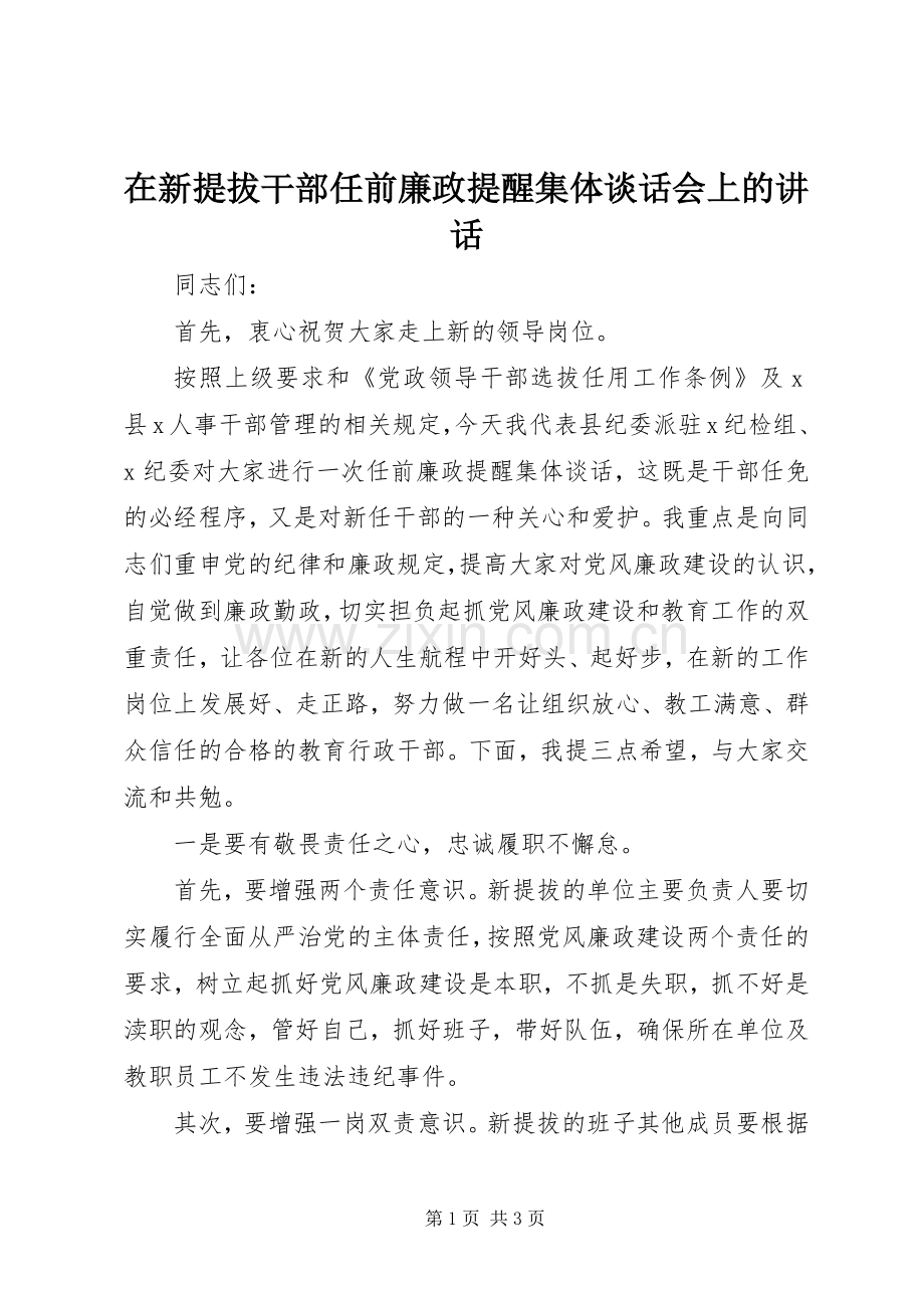 在新提拔干部任前廉政提醒集体谈话会上的讲话.docx_第1页