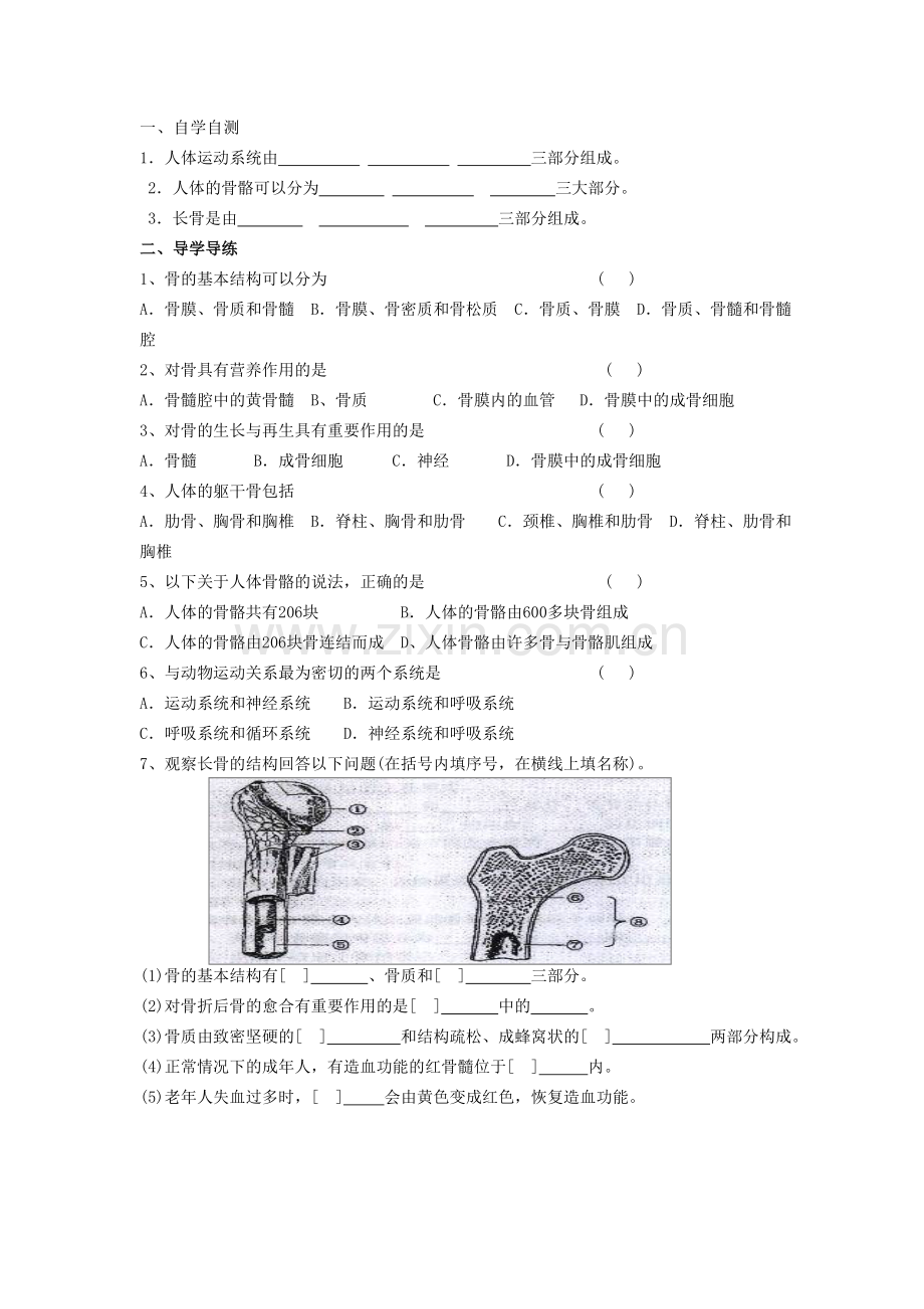 第节人体的运动.doc_第1页