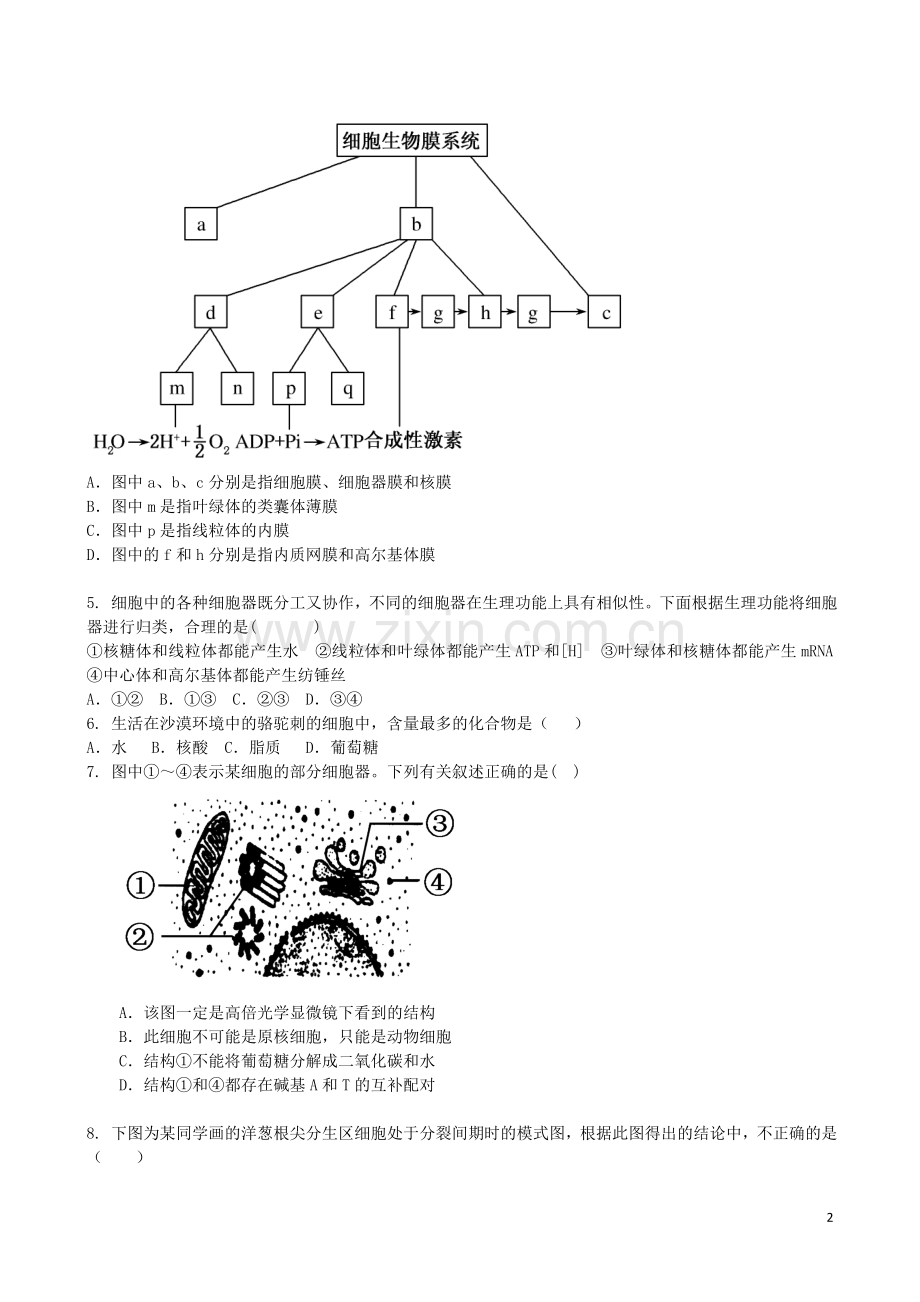 吉林省吉林一中2013-2014学年高一生物上学期同步验收过关检测9.doc_第2页