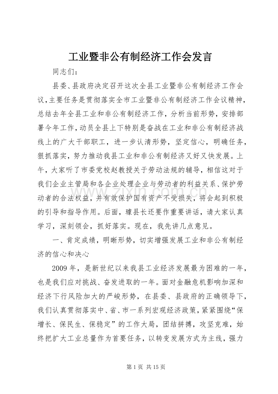 工业暨非公有制经济工作会发言.docx_第1页