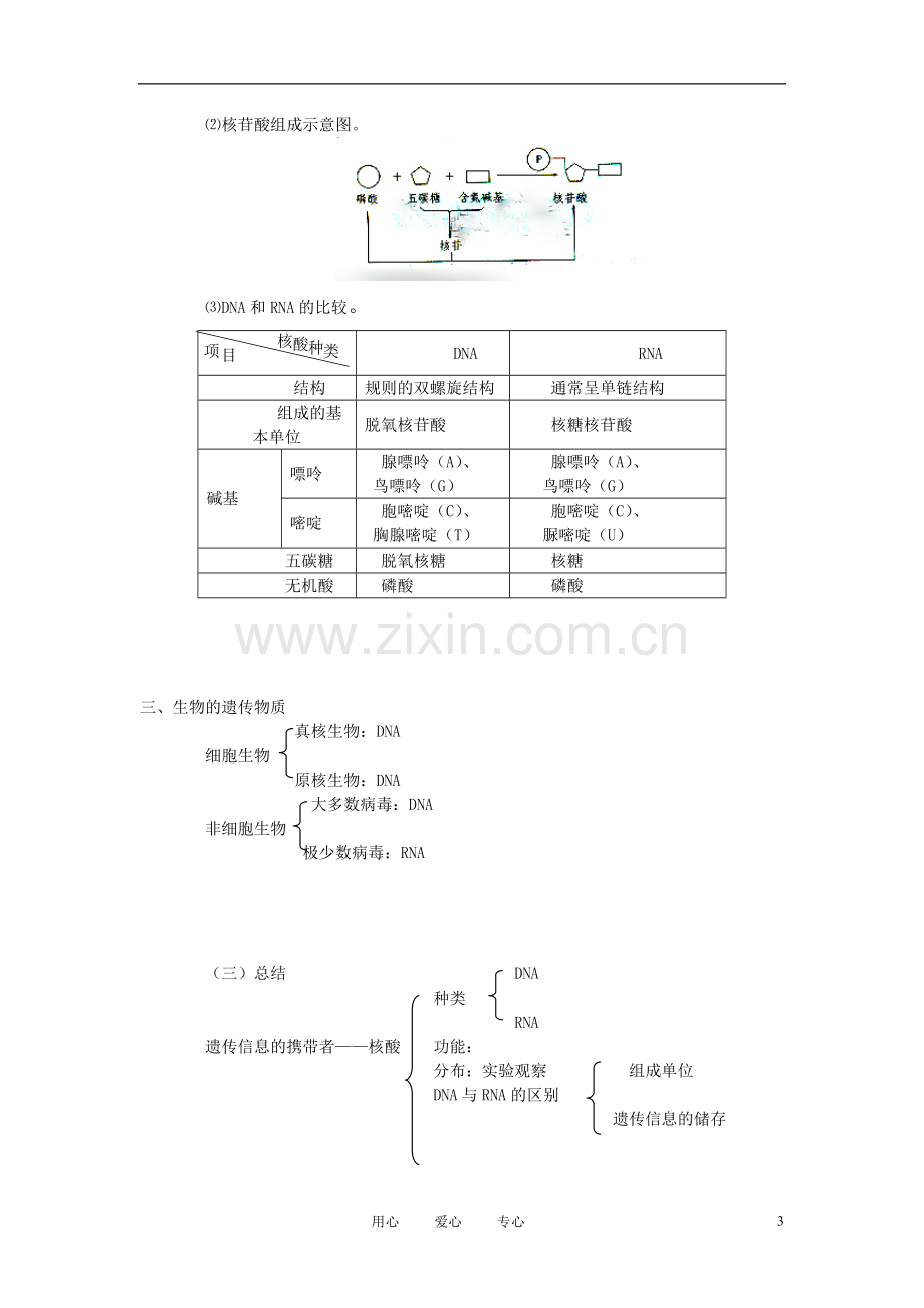 高中生物《核酸的结构和功能》教案3-中图版必修1.doc_第3页