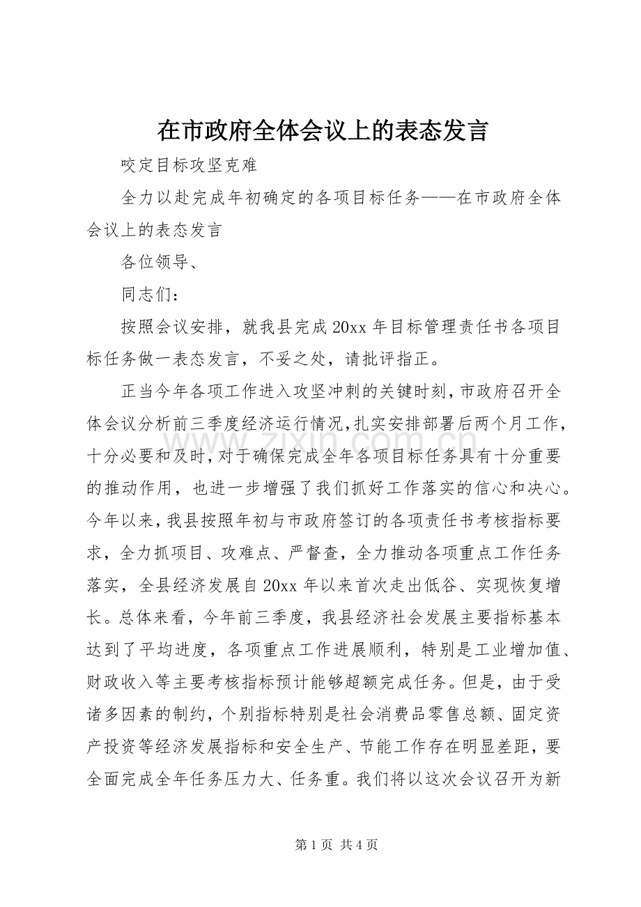 在市政府全体会议上的表态发言.docx_第1页