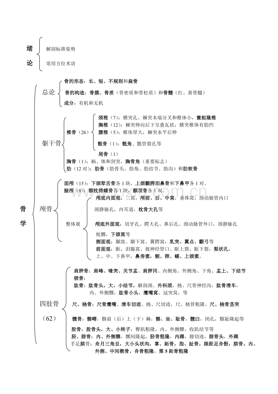 解剖学各系统总结.doc_第1页