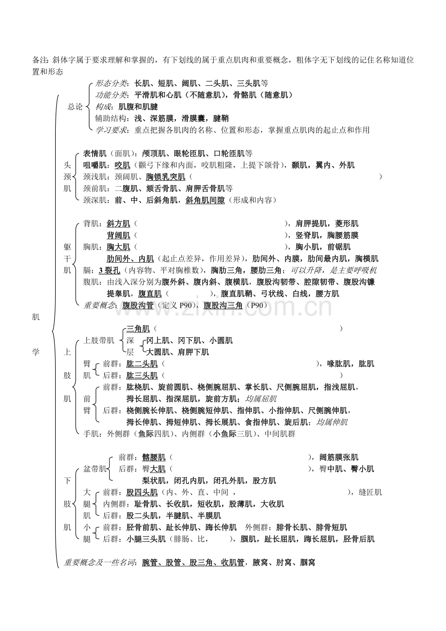 解剖学各系统总结.doc_第3页